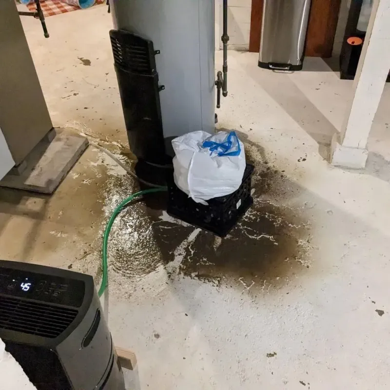 Sewage Backup Cleanup Service in Blakely, GA